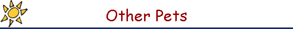 Other Pets